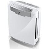 Electrolux PureOxygen Allergy 400 Multi-Pet Allergen & Odor HEPA 4-Stage Filtration Air Cleaner / Air Purifier, White