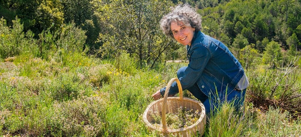 Evelyn Celma, Matarrania, origen de la empresa